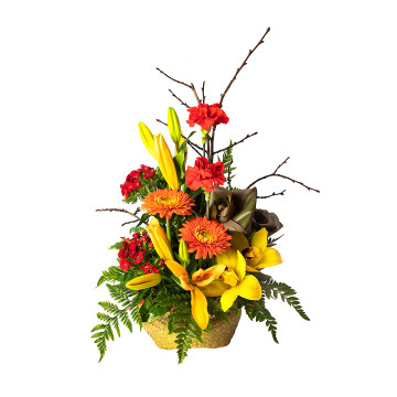 Composizione in cesto di lilium gialli, gerbere arancio, orchidee gialle, garofani rossi, garofanini rossi
