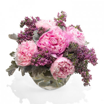 peonia