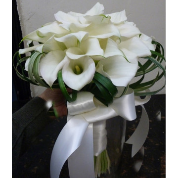 Zantedeschia