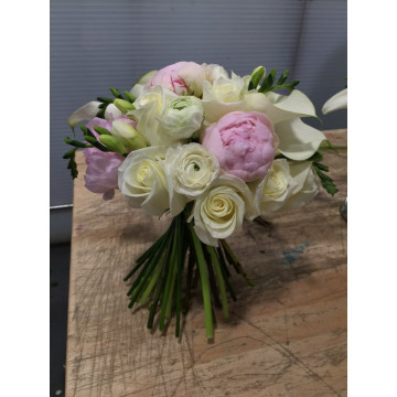 Peonia